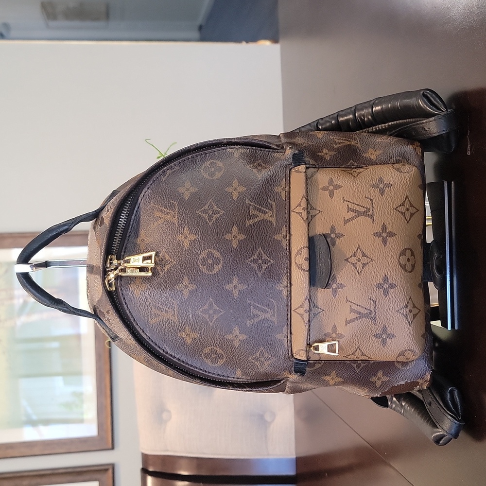 Authentic Louis Vuitton Palmspring backpack